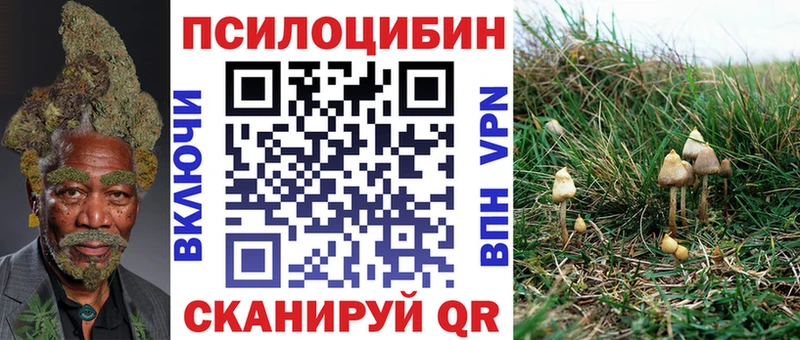 МЕГА вход  Чишмы  Псилоцибиновые грибы ЛСД 